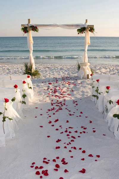 Praia Casamento Caminho Pétalas Rosa — Fotografia de Stock