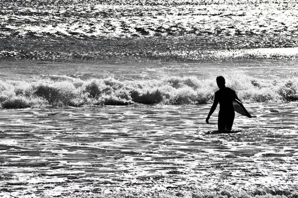 Esporte Água Verão Surf Vento — Fotografia de Stock