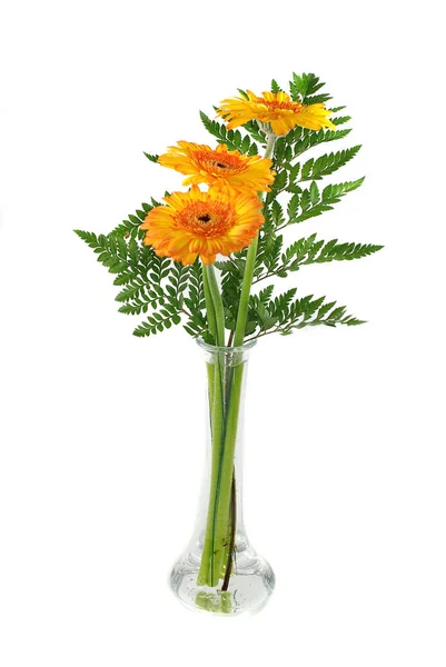 Bir Demet Çiçek Buket Çiçek — Stok fotoğraf