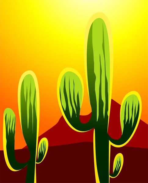 Cactus Exotique Des Plantes Tropicales — Photo