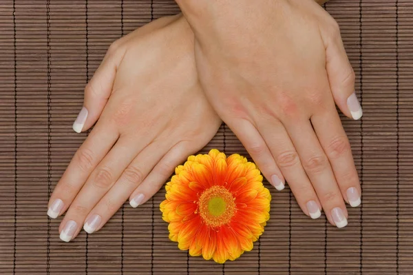 Encerramento Mãos Femininas Com Manicure — Fotografia de Stock
