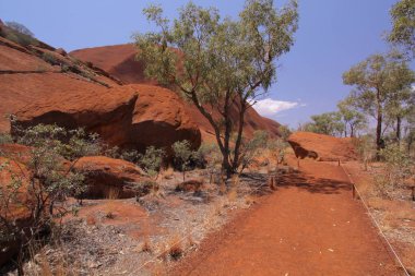 trail around uluru, sandstone clipart