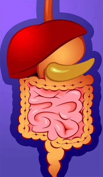 Visión Escénica Del Concepto Educativo —  Fotos de Stock