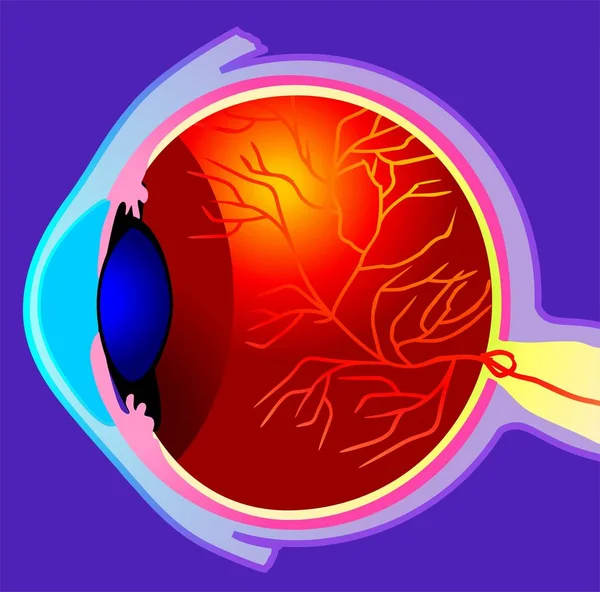 Visión Escénica Del Concepto Educativo — Foto de Stock