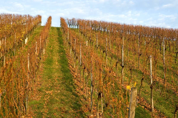 Bellissimo Paesaggio Autunnale Sullo Sfondo — Foto Stock