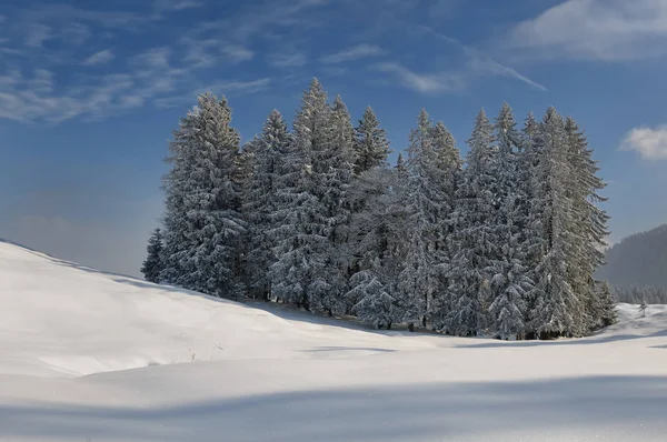 Schilderachtig Uitzicht Prachtig Alpenlandschap — Stockfoto