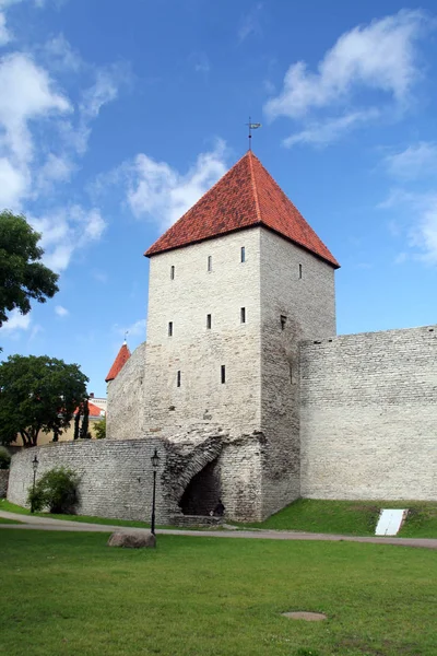 Casco Antiguo Tallin Estonia — Foto de Stock