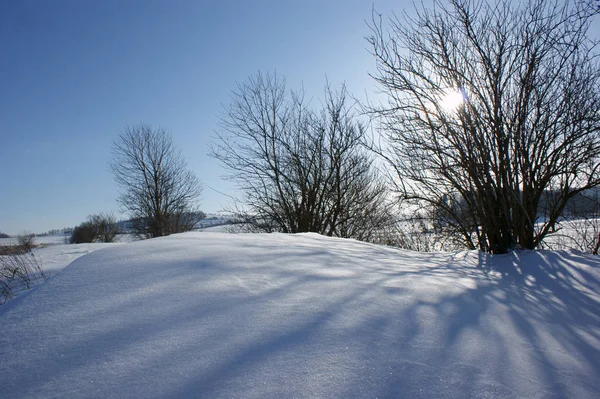 Sol Inverno Céu Azul — Fotografia de Stock