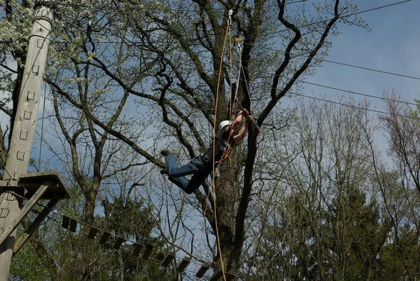 Człowiek Wspinający Się Drzewie — Zdjęcie stockowe