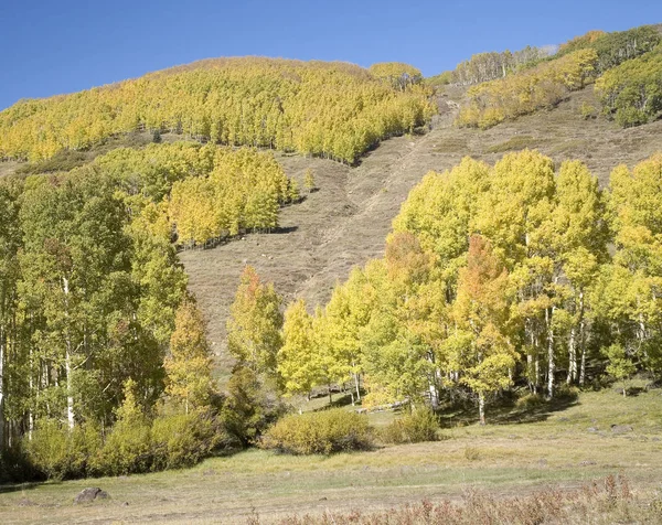 Pittoresk Uitzicht Prachtig Herfstlandschap — Stockfoto