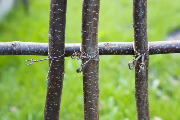 Wilgen Hek Vlechten Plant Van Weiden — Stockfoto