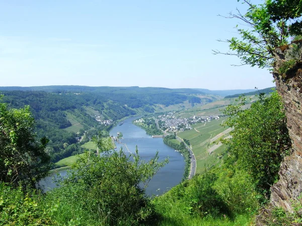 Enkirch Starkenburg Daki Moselle Vadisi — Stok fotoğraf