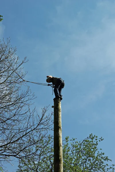 Erigiendo Poste Del Mimador — Foto de Stock