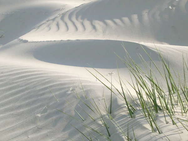 Panoramisch Uitzicht Duinen Selectieve Focus — Stockfoto