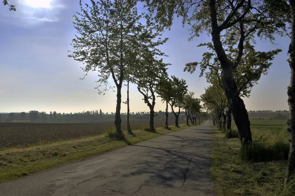 Naturskön Över Trafikledens Infrastruktur — Stockfoto