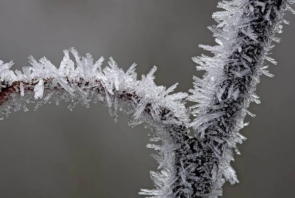 Jégkristályok Téli Fagy — Stock Fotó