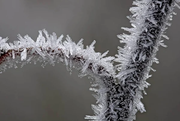 Cristais Gelo Geada Inverno — Fotografia de Stock