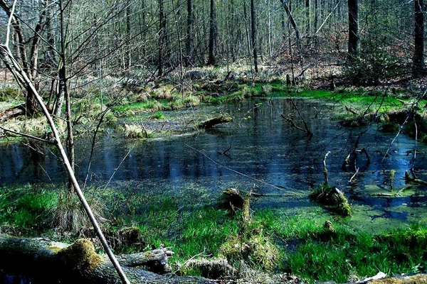 Krásný Výhled Krajinu Přírody — Stock fotografie