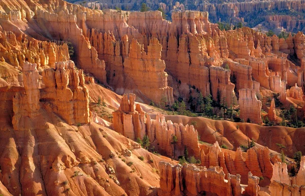 Canyon Bryce Parc National Avec Grès — Photo