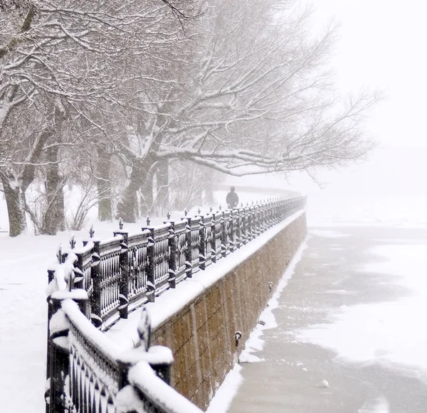 Kronverk Nábřeží Petrohradě Při Sněžení — Stock fotografie
