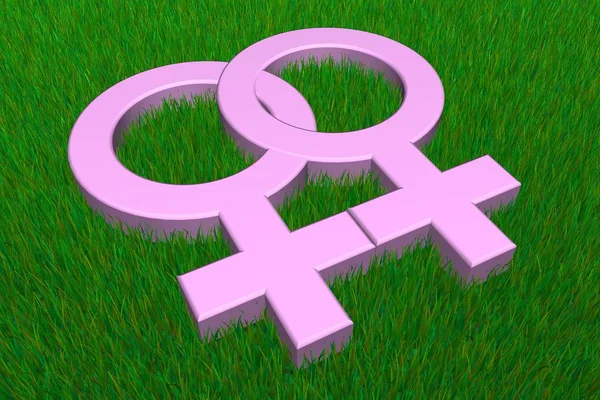Two Pink Female Symbols Grass — 스톡 사진