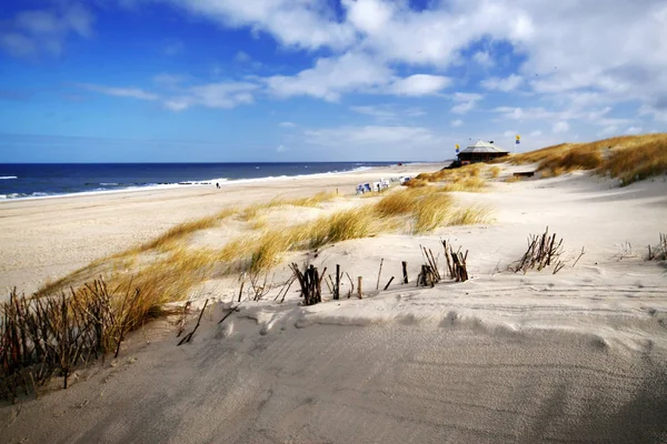 Sylt Kuzey Denizi Nde Frizya Takımadalarında Yer Alan Bir Alman — Stok fotoğraf