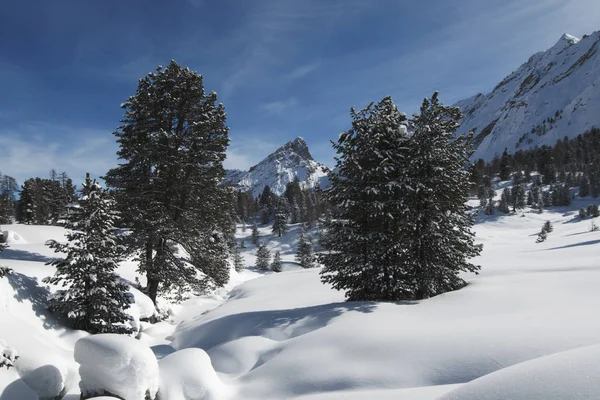 Vacker Utsikt Över Majestätiska Dolomiter Landskap Italy — Stockfoto