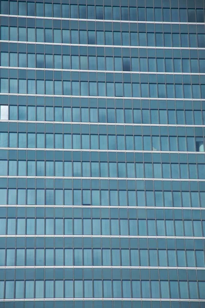 Vue Panoramique Sur Majestueuse Ville Urbaine — Photo