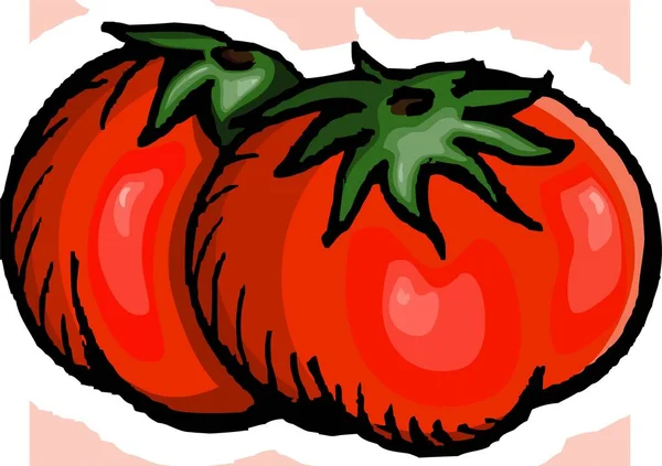 Illustrazione Pomodoro Backgrou Rosso — Foto Stock