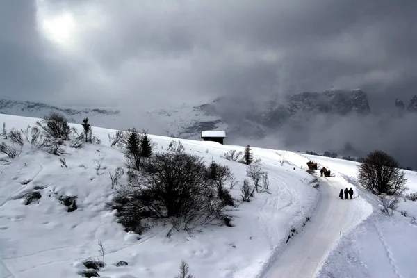Malebný Pohled Majestátní Krajinu Dolomitů Itálie — Stock fotografie