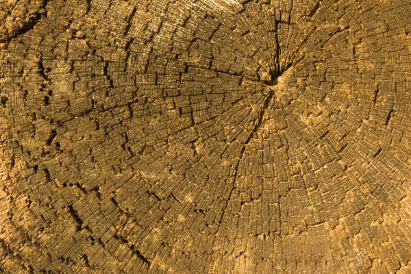 Viejo Fondo Madera Madera Dura — Foto de Stock