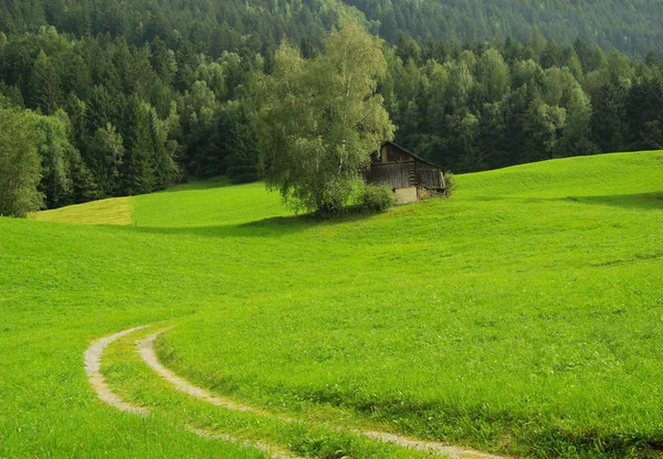 Alps Alm Alps Pasture Stock Photo