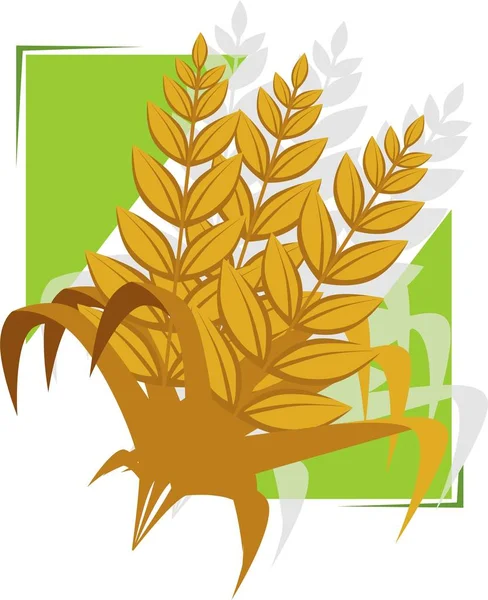 Векторна Ілюстрація Пшеничного Поля — стокове фото