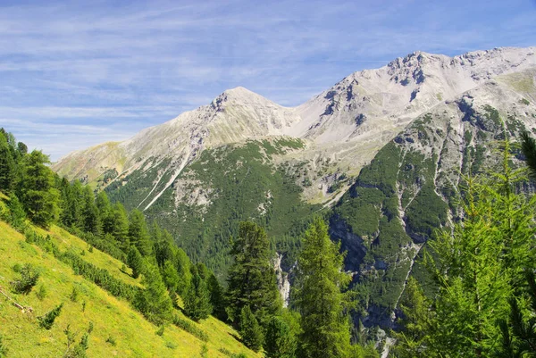 Ortler Ortles Alps — ストック写真