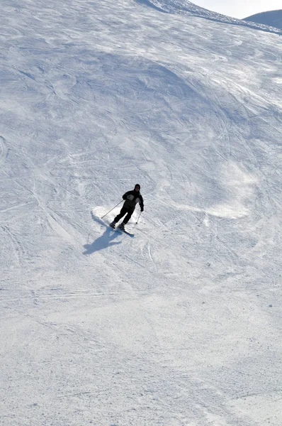 パウダースノーのスキーヤー — ストック写真