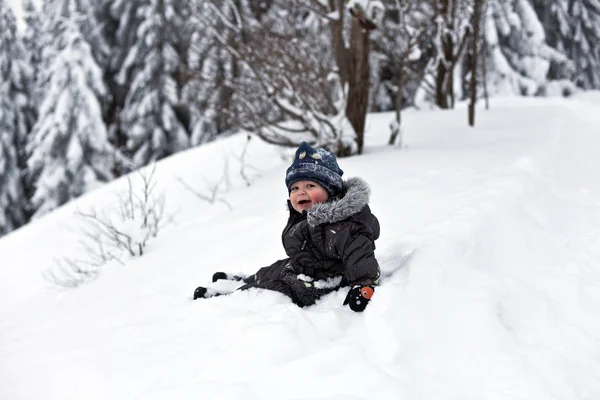 Coulé Dans Neige — Photo