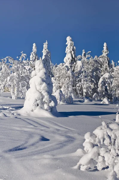 Belle Vue Sur Les Paysages Naturels — Photo