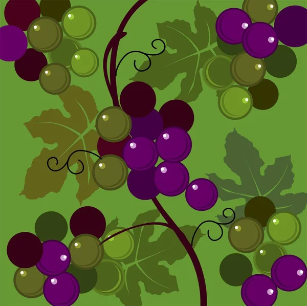 Bunches Grapes Sweet Fruit Berries — Stock Photo, Image