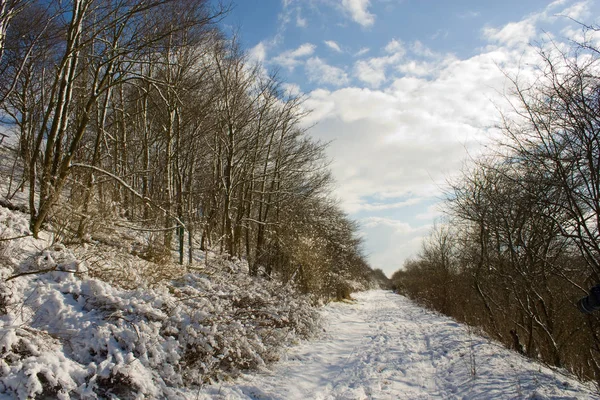 Vue Pittoresque Sur Paysage Hivernal Enneigé — Photo