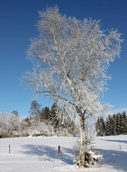 Blick Auf Eine Winterszene — Stockfoto