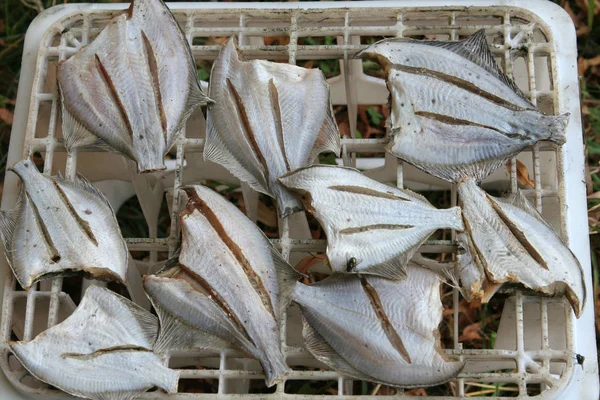 Frischer Fisch Auf Dem Markt — Stockfoto