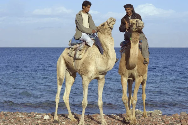 Gruppo Persone Nel Deserto — Foto Stock