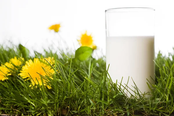 Vegetarisk Mat Selektivt Fokus — Stockfoto