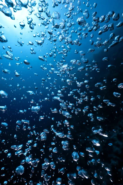 Живописный Вид Подводный Мир — стоковое фото