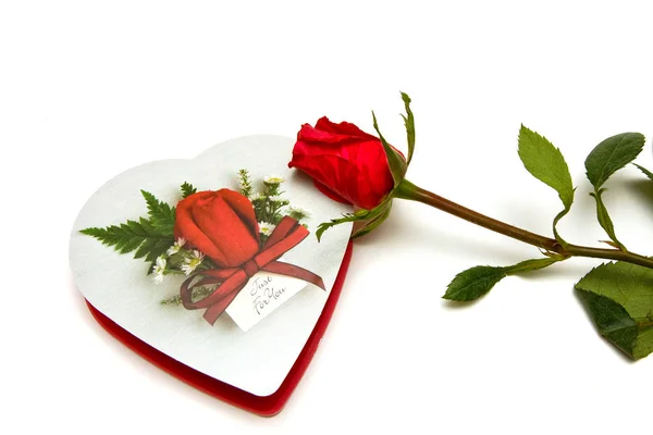 Rose Walentynki Cukierki — Zdjęcie stockowe