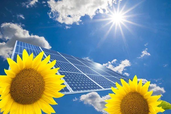 Solar Panels Sunflower Field — Stock Photo, Image