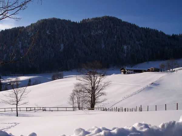 Vista Pitoresca Paisagem Inverno Coberto Neve — Fotografia de Stock