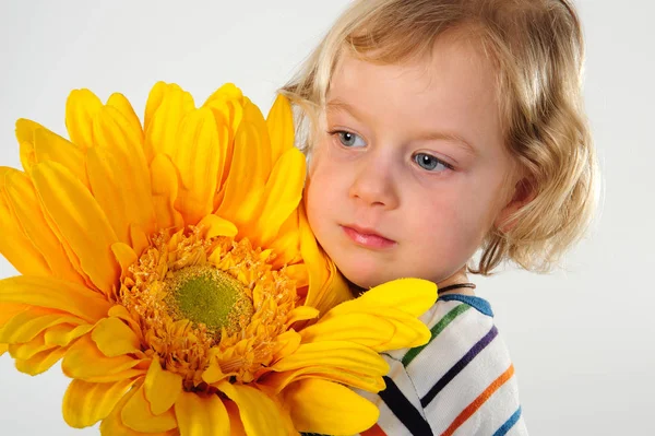 Gadis Kecil Dengan Bunga Matahari — Stok Foto