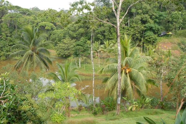 Vista Pitoresca Cena Natureza — Fotografia de Stock