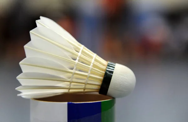 stock image Badminton active game, sport 